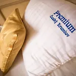Pensión Premium 4*