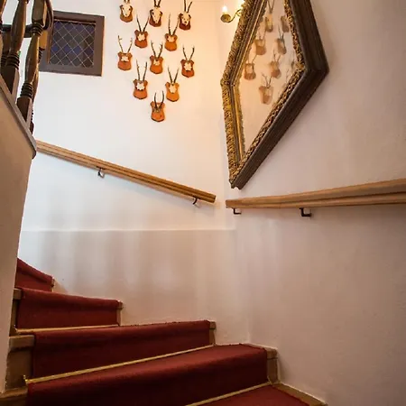 Premium Гостевой дом